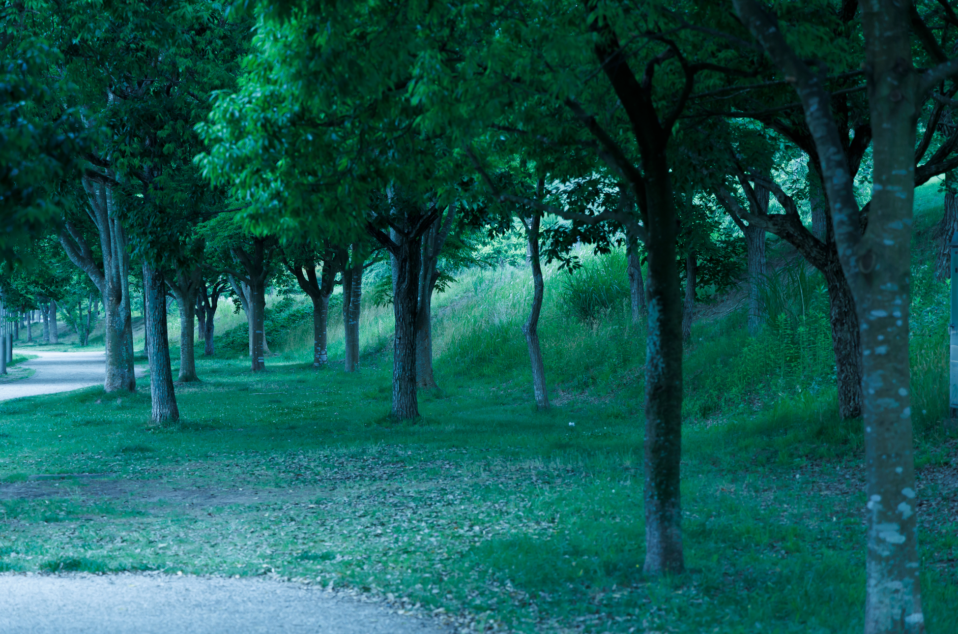お荷物のお届け状況に関するご案内(12/18更新）